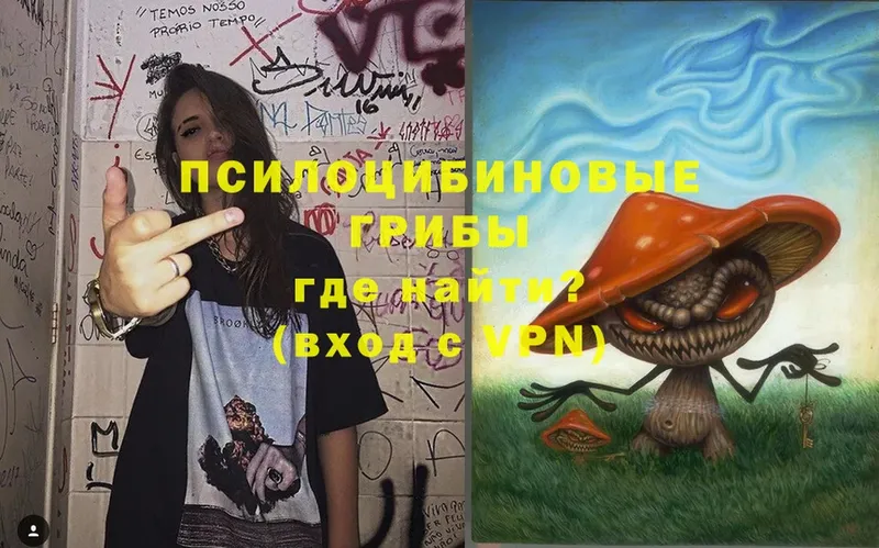 Галлюциногенные грибы Psilocybe  Бокситогорск 